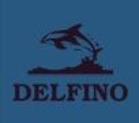 Logo Delfino update